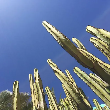 Appartamento Sunrise - *